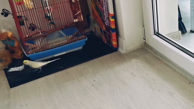 Врач назначает препараты смотреть онлайн