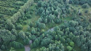 Высоко Скоростная железнодорожная Магистраль ВСМ1 ПК 5062 +35