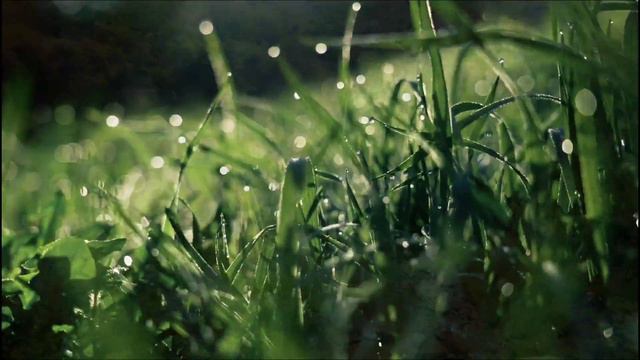 Лицом к вызовам жизни. | Экхарт Толле |
