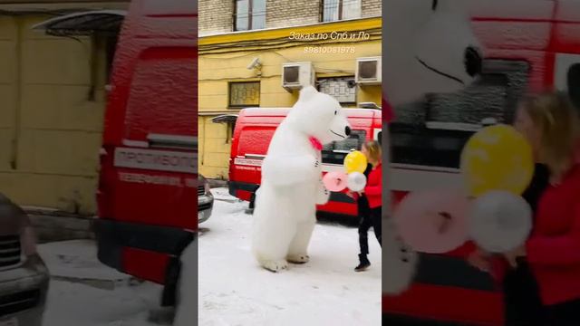 СПб Питер Санкт-Петербург  Праздник  День рождение Белый медведь тик ток