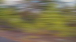 Города, которые не найти на карте! Усть-Илимск и Таксимо.