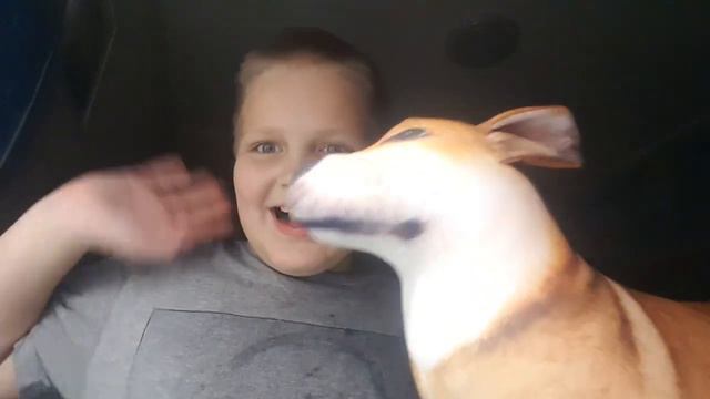 корги от блоп топ часть 3 смотреть онлайн