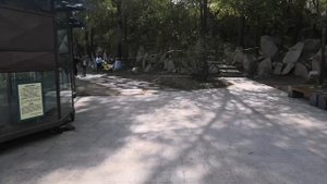 Харбин. Остров солнца/Harbin. Sun island.