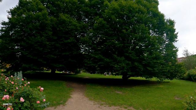 London Walk 4K | Regent's Park & Queen Mary's Rose Gardens 🌹 | Royal Park Of London | England