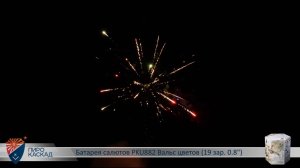 Батарея салютов PKU882 Вальс цветов (19 зар. 0,8)