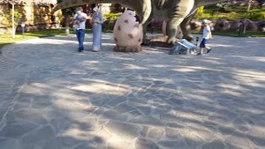 Грозненский Дельфинарий в Грозном Дино-юрт Черноречье Парк карусели Диноюрт Сирадин Заур Абакаров!