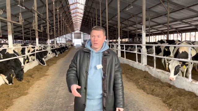 Патока свекловичная. Поставка на молочную ферму Ленинградской области. смотреть онлайн