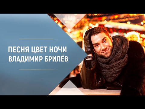 BRILEV - Цвет ночи. Владимир Брилёв. Лучший исполнитель. Популярный певец России. Лучший певец.