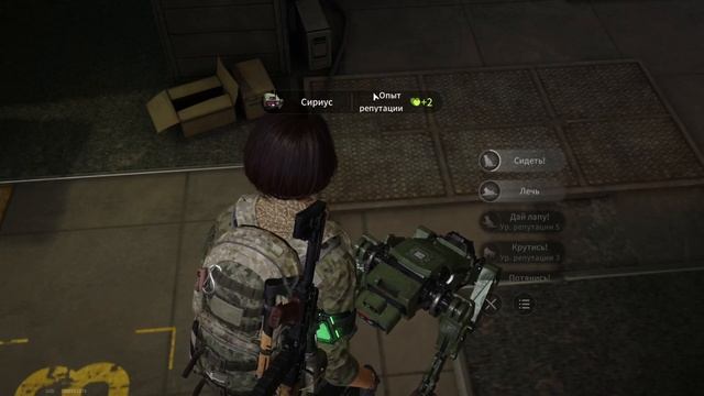 СТРАХОВКА ЛУТА ВЕРНУЛАСЬ\\Что сделать чтоб собака возвращала потерянный лут из рейда смотреть онлайн