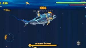 играю в акул