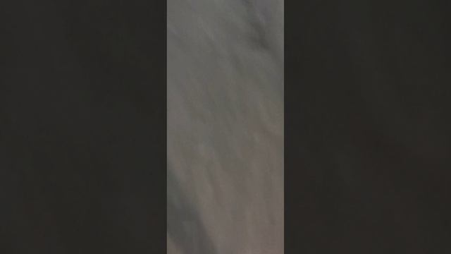 Купание в снегу.