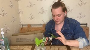 Распаковка новых растений !10 новых растений!! Растения по почте.(1 часть)