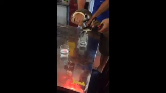 Ритуал со змеей Кобра -разделка смотреть онлайн