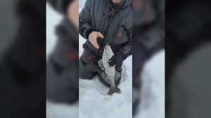 Брейтово. База "На Волне" Хватанули адреналина, свежего воздуха и позитива.
