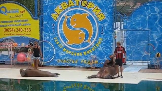 Вот так надо качать пресс))) смотреть онлайн