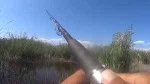 Рыбалка.Речные монстры сезон 1. Ловля змей головы!!!