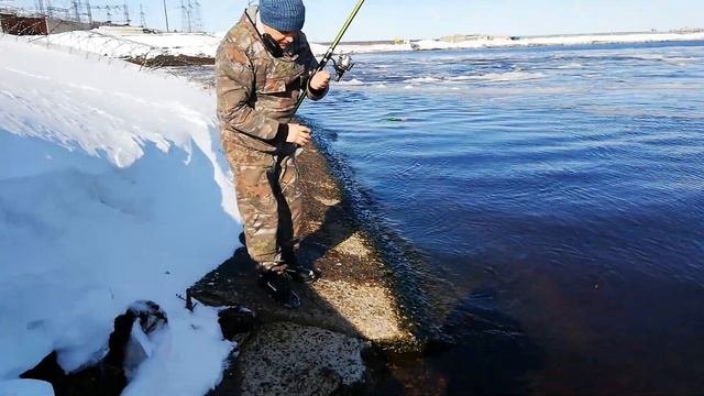 #рыбалка#Сургут#сомик#канадскийсомик