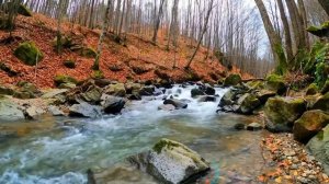 Автономия  Я Оплакивал те Дни Когда Ел  Как зайти на Длительные Чистые Дни безболезненно