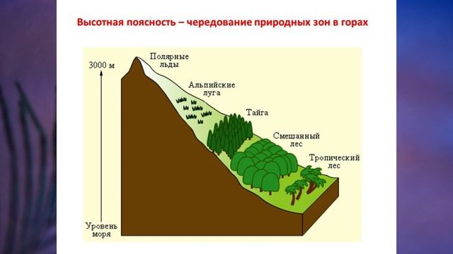 Презентация по географии 8 класс субтропики высотная поясность в горах полярная звезда