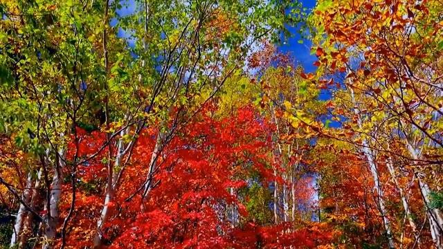 Красивая Атмосферная Инструментальная Музыка для души! Красивое видео/Beautiful instrumental music