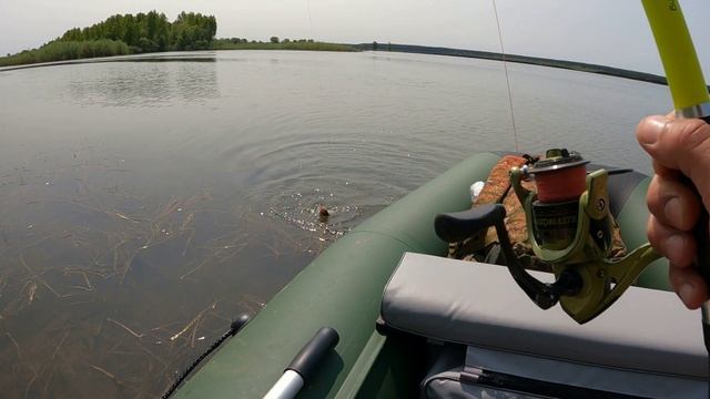 Затон полный рыбы ! смотреть онлайн