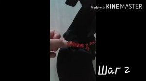 Как приучить щенка к шлейке?/Почему щенок боится?