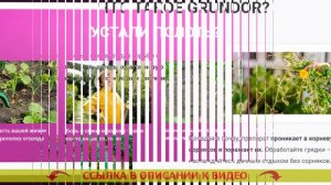 😎 СОРНЯКИ РЕЦЕПТ ⚡ УНИЧТОЖИТЬ СОРНЯКИ С ПОМОЩЬЮ