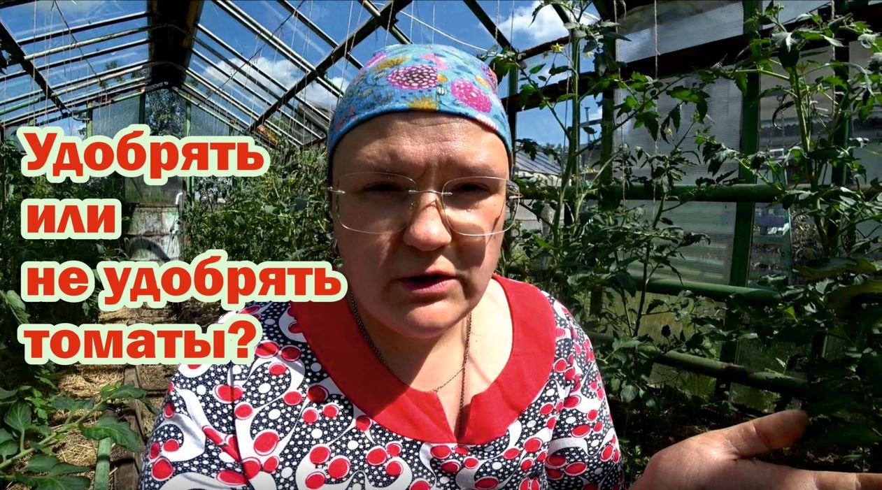 Говорим об удобрении томатов и других растений
