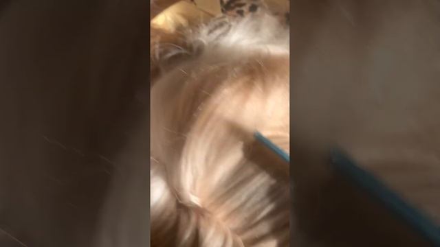 Лика-ши тцу смотреть онлайн