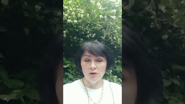 Лучшая система в интернете! 💯