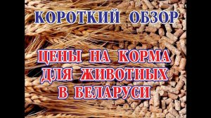 ОБЗОР ЦЕН НА КОРМА ДЛЯ СЕЛЬХОЗЖИВОТНЫХ В БЕЛАРУСИ. Наш хутор.Уехали из города в деревню.Домик в лесу