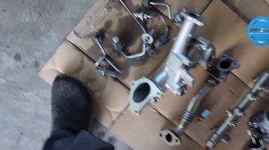 Nissan Navara  Perform egr  and Intake manifold cleaning