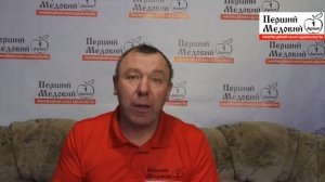 АПИ домик Звуко-магниторезонансная  апитерапия