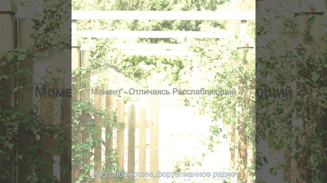 Пышный Впечатления смотреть онлайн