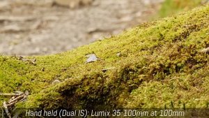 Panasonic GX80 / GX85 - 4K Live Cropping Test