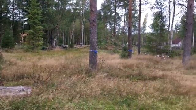 продажа участков ижс всеволожск