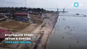 Хорлы с дрона