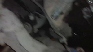 Снять генератор Форд Маверик