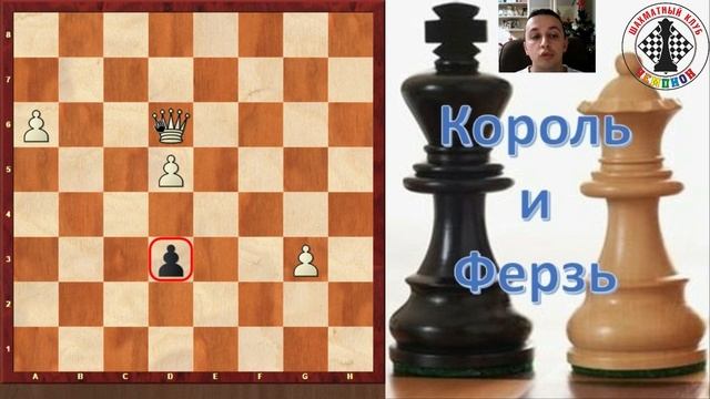 Ферзь и король (шахматы для начинающих)