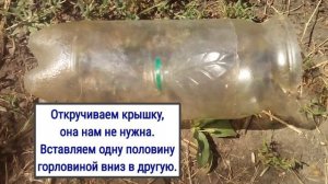 Ловушка для ос, пчел из пластиковой бутылки своими руками.
