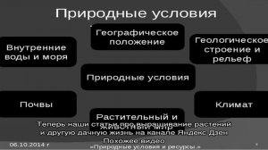 Мята и мелисса — в чем отличия?