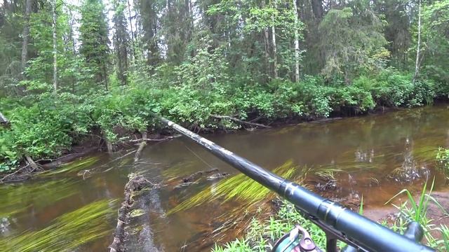 Поход по таежным речкам. Ловлю хариуса. смотреть онлайн