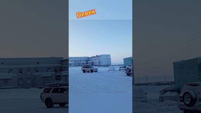 Пес батон живет за полярным кругом