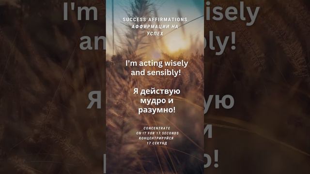 Я действую мудро и разумно! 17 секунд