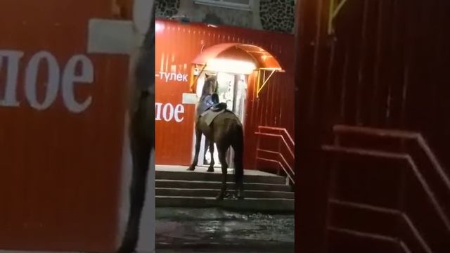 Гений из башкирской глубинки не стал садиться за руль пьяным, поэтому пригнал в местный алкомаркет..
