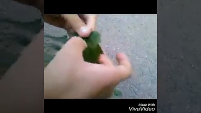 Как сделать листик скелет смотреть онлайн