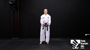 СИНИЙ ПОЯС - Клубная программа БАЗОВОЙ ТЕХНИКИ "Taekwon-do center" для аттестации