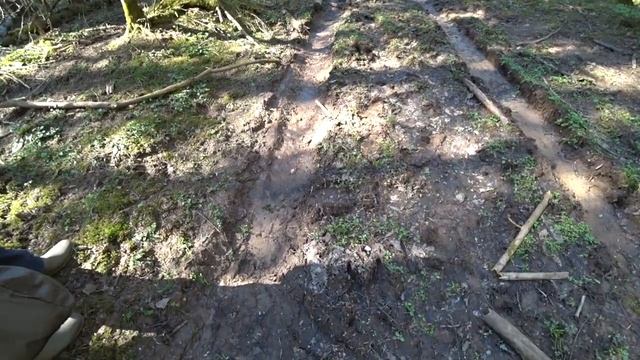 Лесные дела. Встретили следы огромного лося! смотреть онлайн