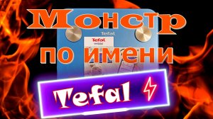 Монстр по имени весы Tefal