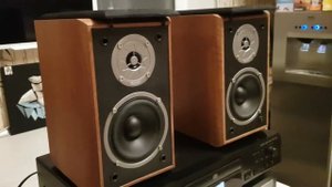 Magnat Monitor Supreme 100